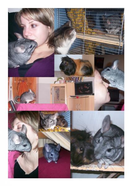 Les vacances des bouts d'choux