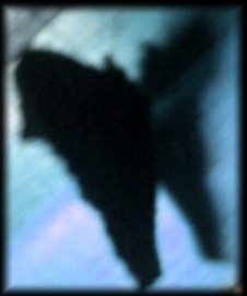 Bitter Sweet Symphony