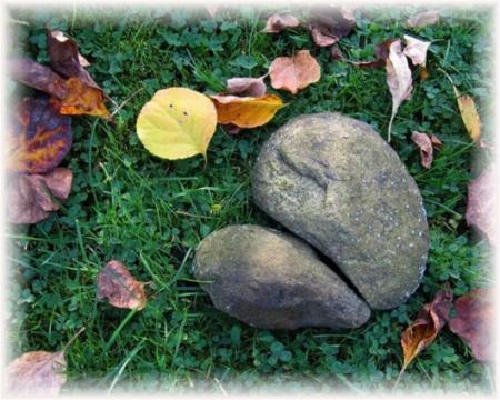 Mon coeur ou ma raison ?