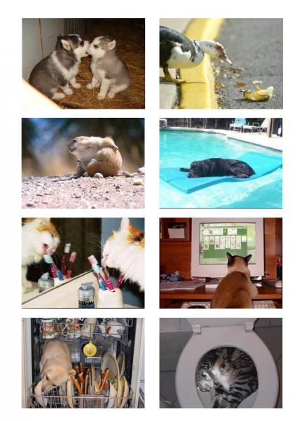 Nos amis les bestioles