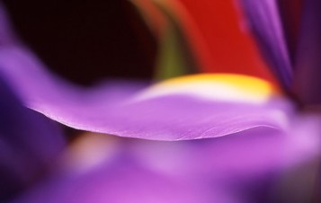 Comment contr�ler son amour ?